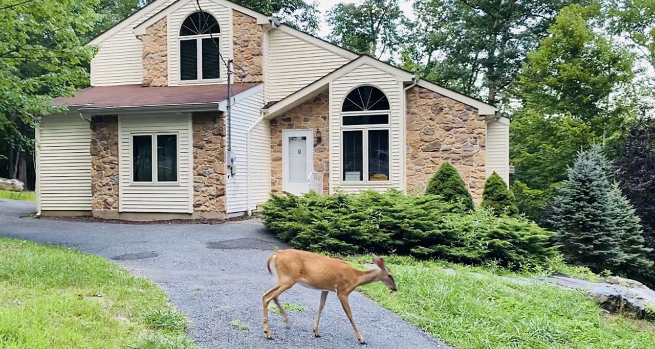 Photo of Outdoor in Bushkill