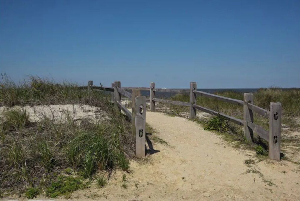 Photo of Others in North Cape May