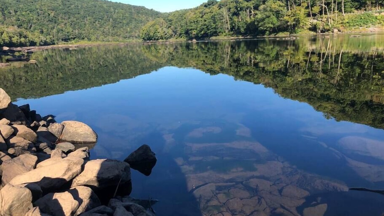 Photo of Others in Pond Eddy