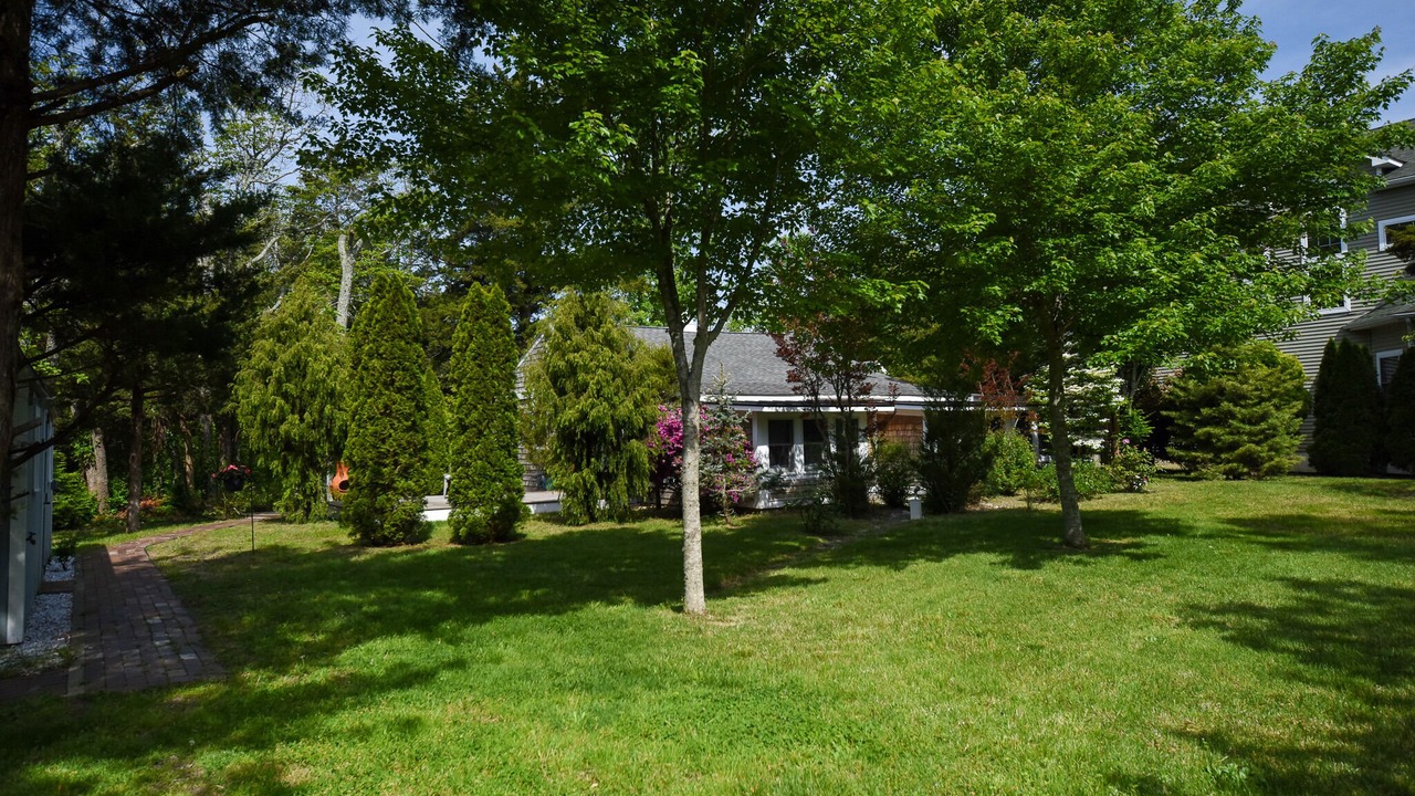 Photo of Outdoor in West Cape May