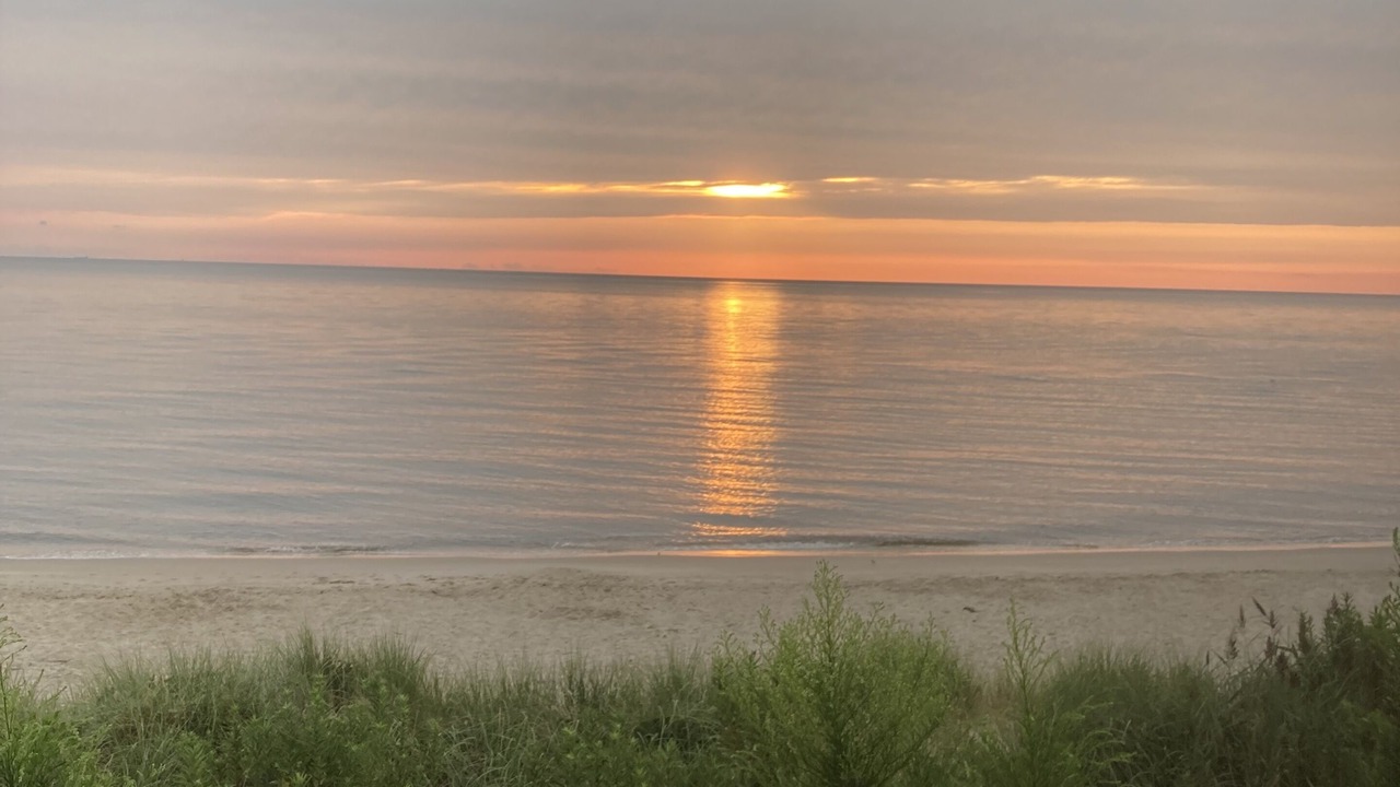 Photo of Others in West Cape May