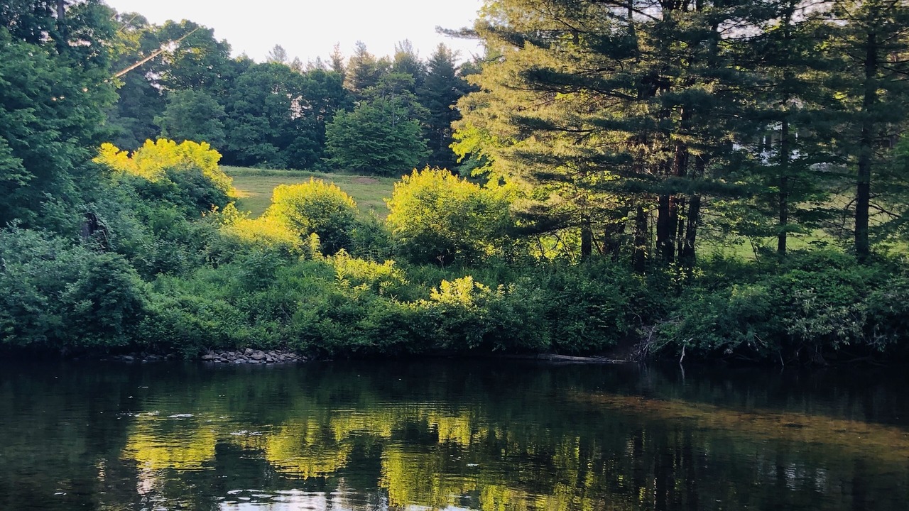 Photo of Outdoor in Burnsville