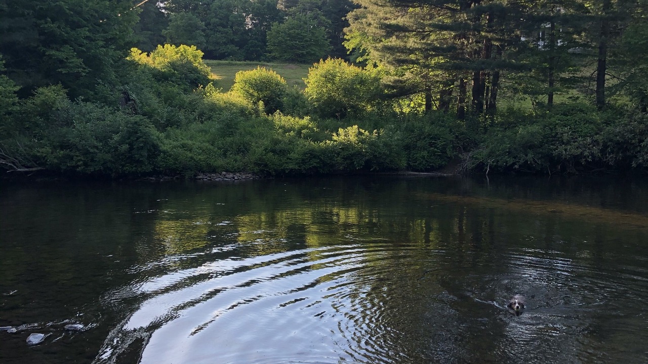 Photo of Outdoor in Burnsville