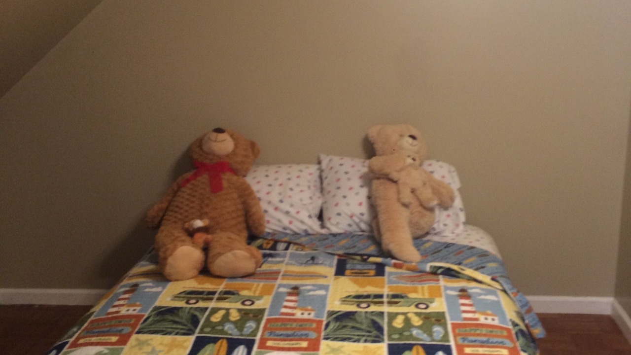 Photo of Bedroom in Town Bank