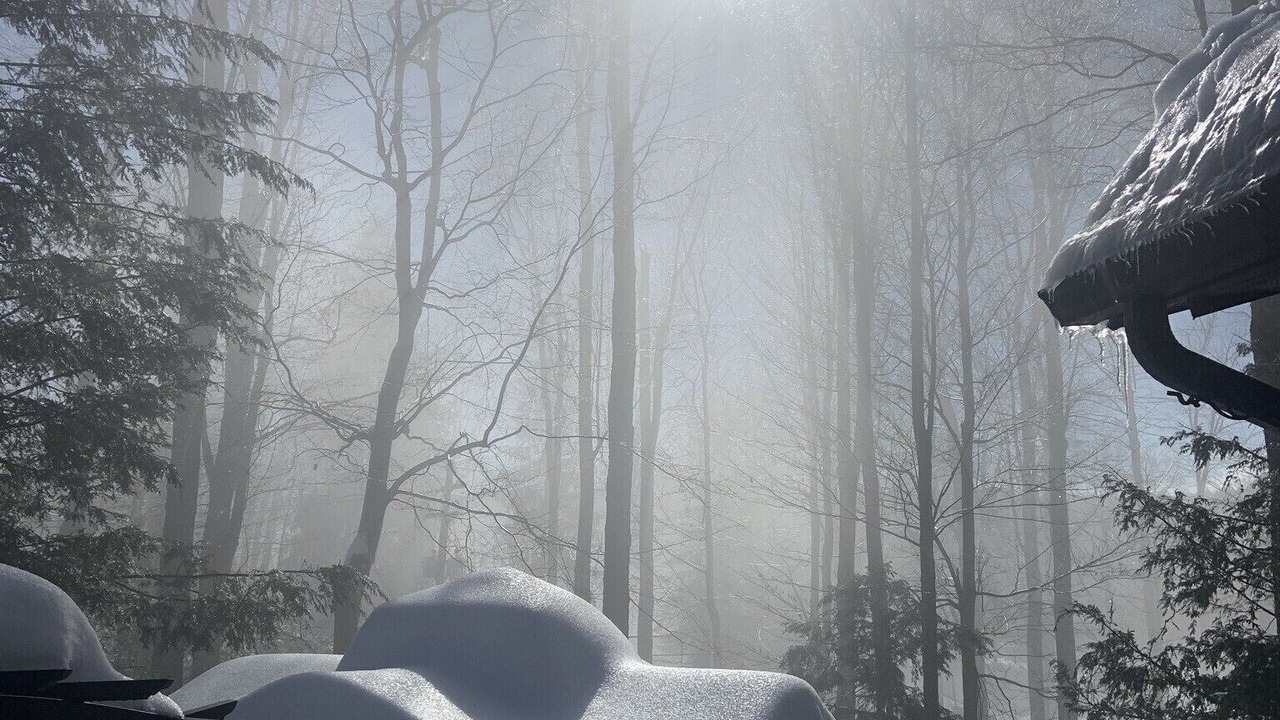 Photo of Outdoor in Greentown