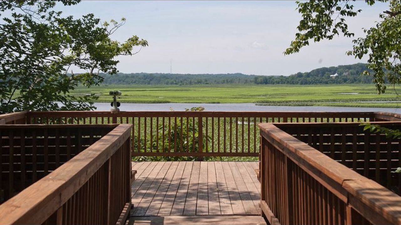 Photo of Outdoor in Galesville