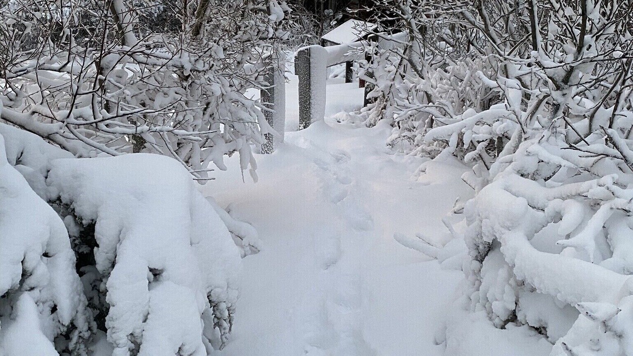 Photo of Outdoor in Slaughter Beach