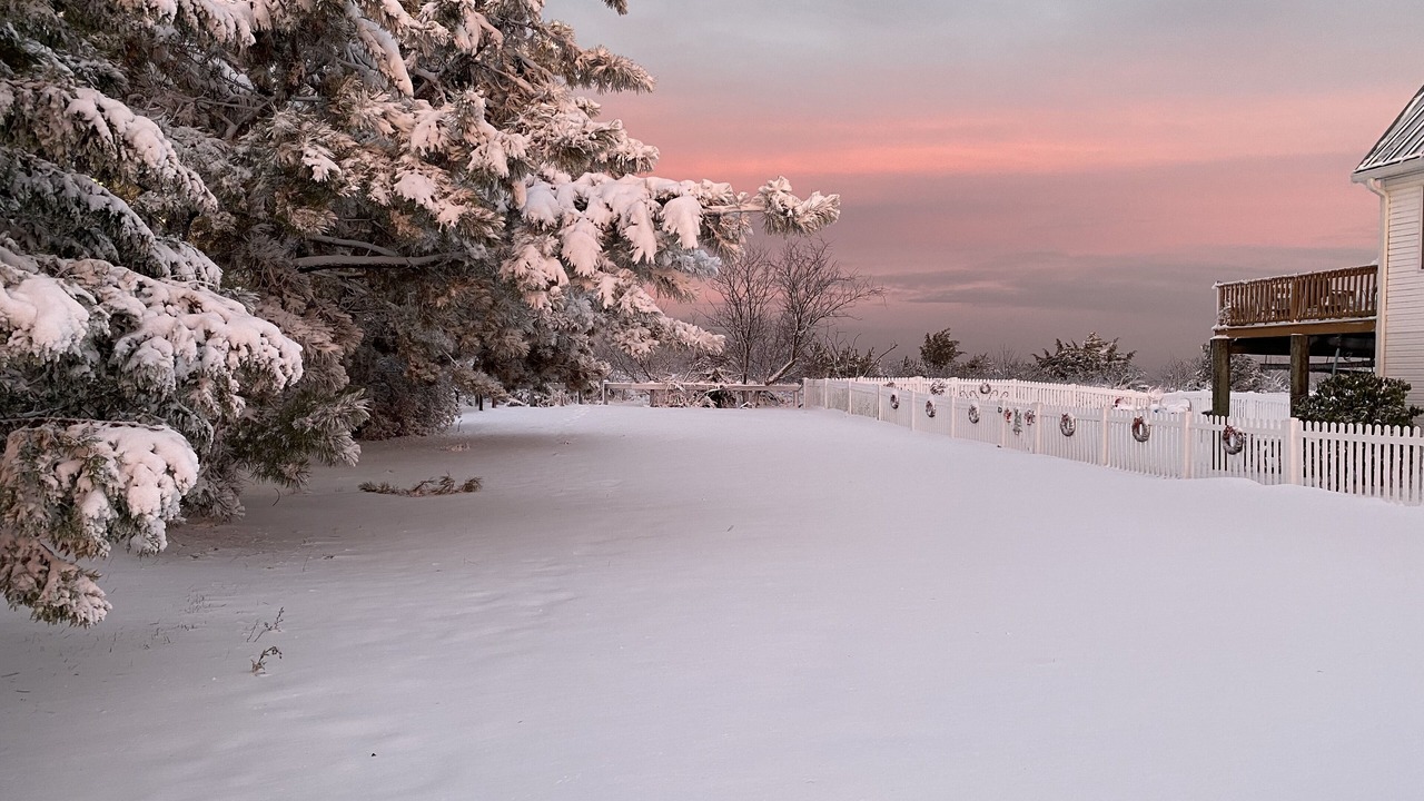 Photo of Outdoor in Slaughter Beach