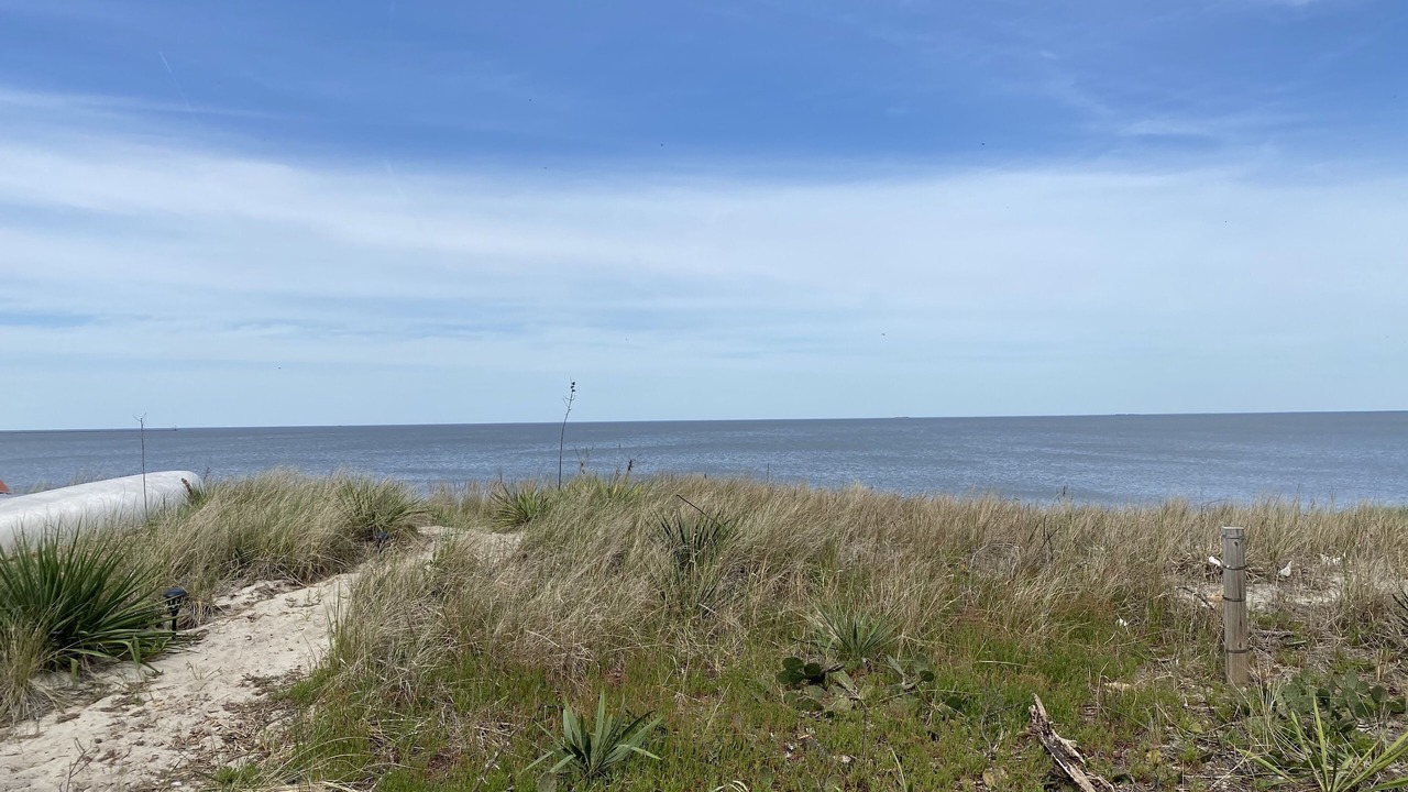 Photo of Others in Slaughter Beach