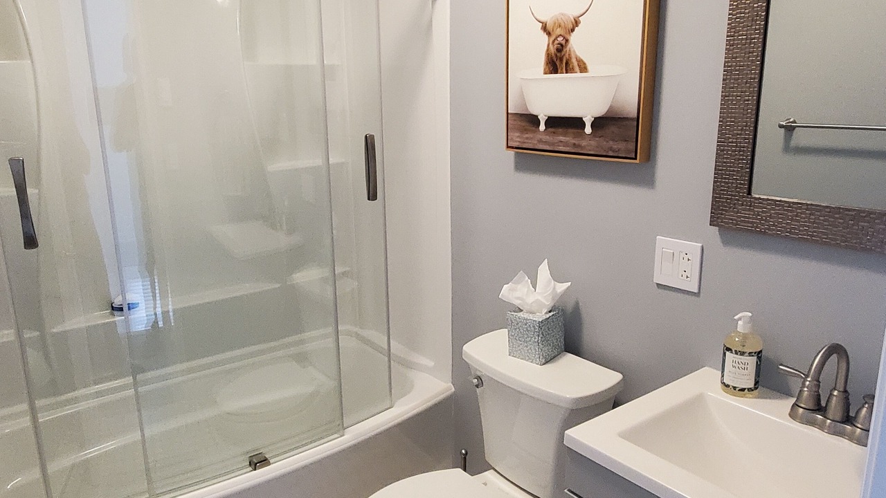Photo of Bathroom in Lake Ariel