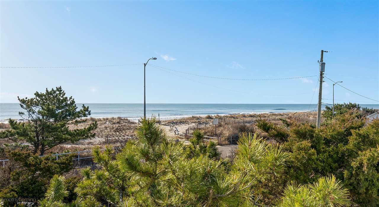 Photo of Others in Sea Isle City