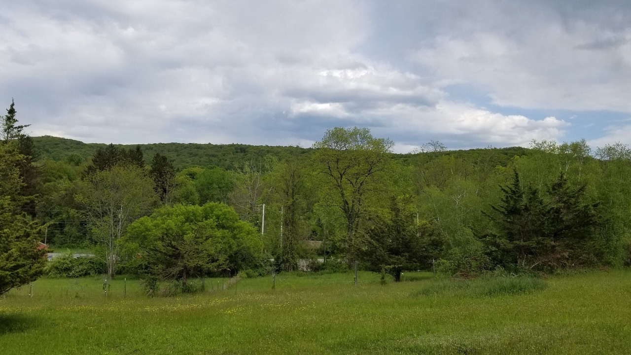 Photo of Outdoor in Cold Spring