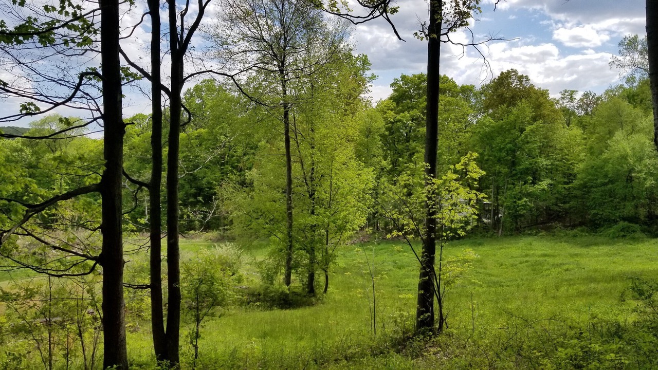 Photo of Outdoor in Cold Spring
