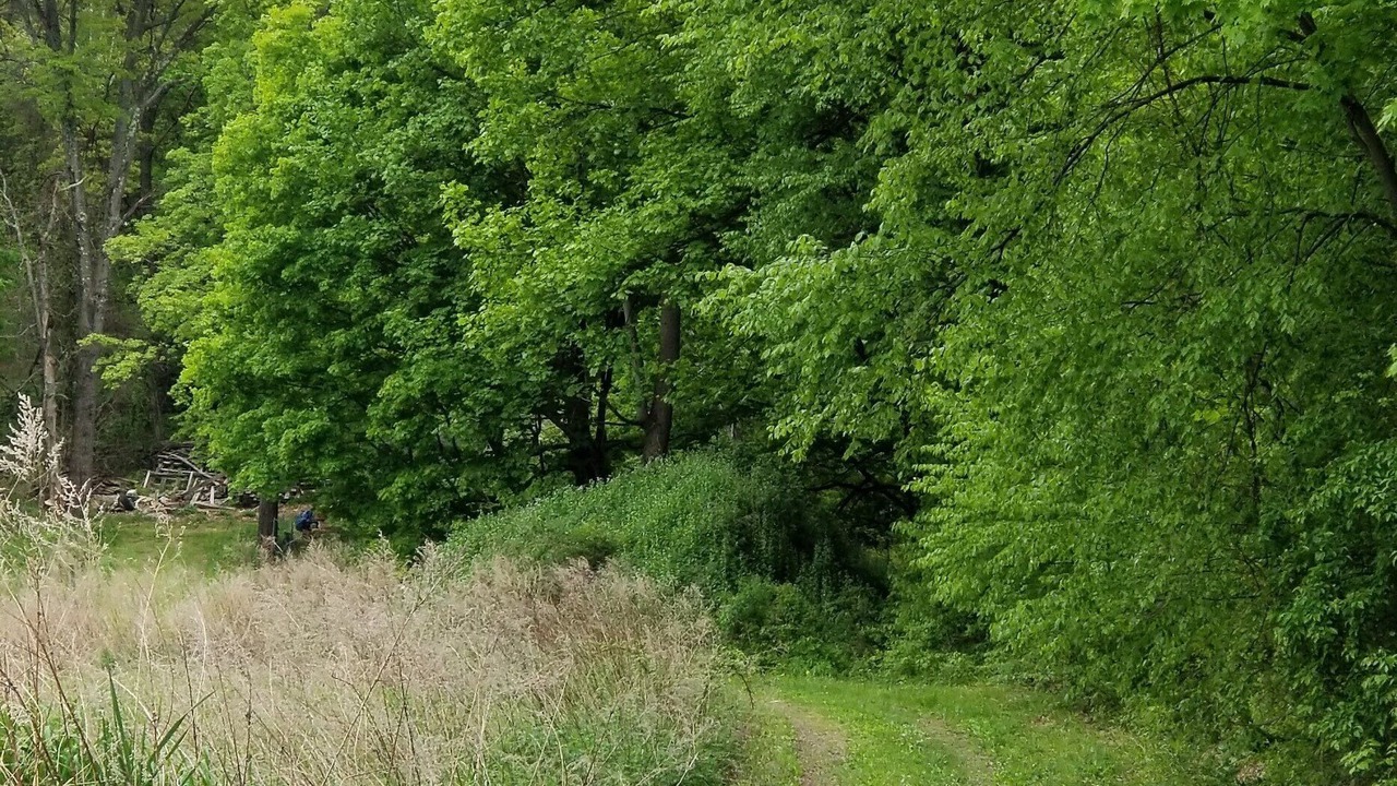 Photo of Outdoor in Cold Spring