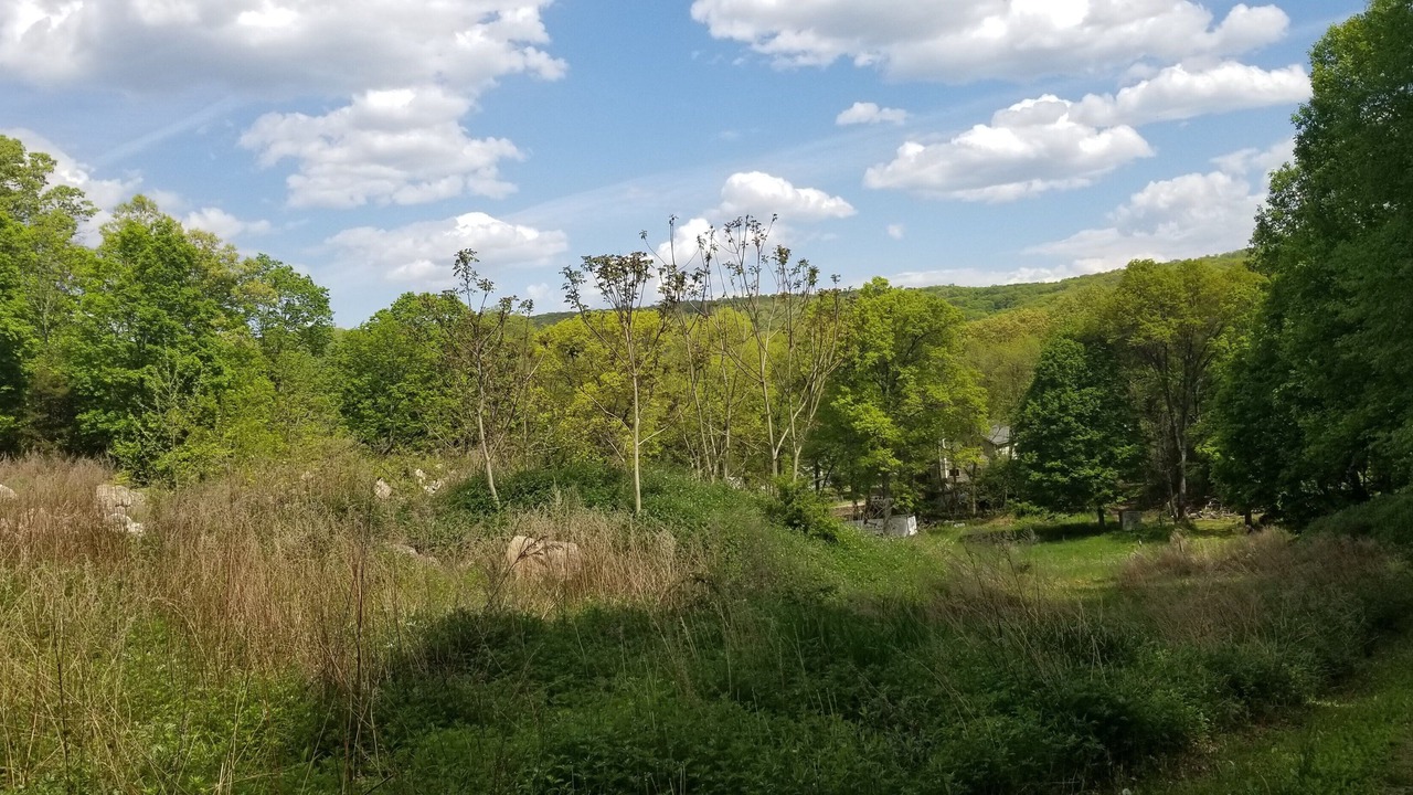 Photo of Outdoor in Cold Spring