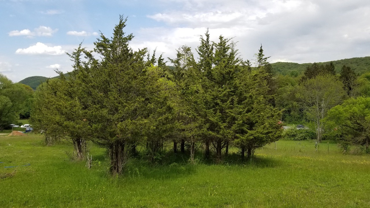 Photo of Outdoor in Cold Spring