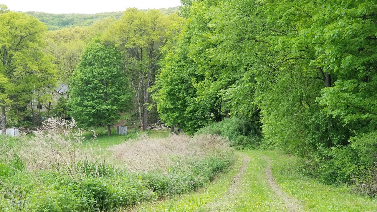 Photo of Outdoor in Cold Spring
