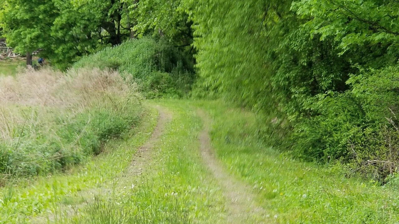 Photo of Outdoor in Cold Spring