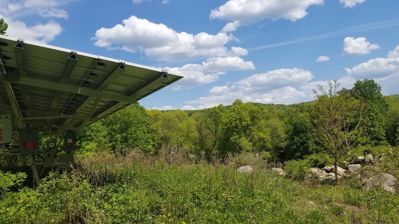 Photo of Outdoor in Cold Spring