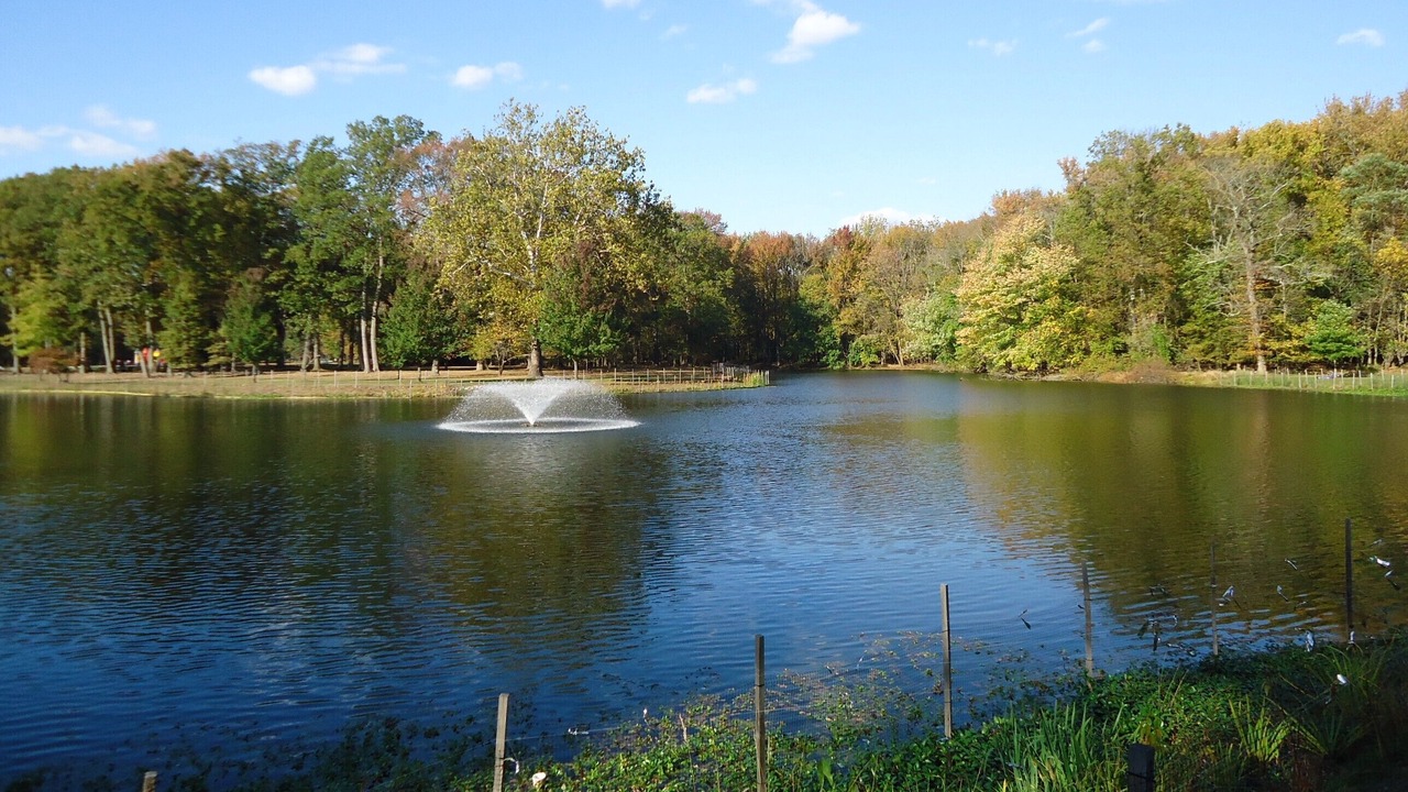Photo of Outdoor in Carteret