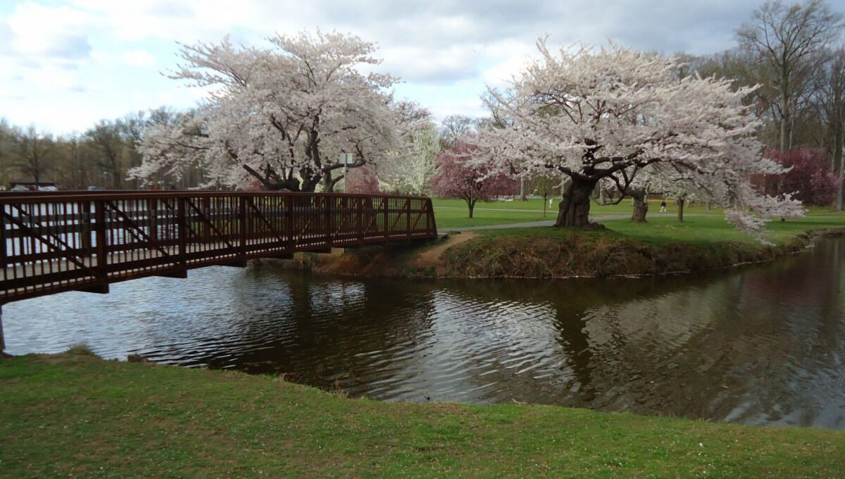 Photo of Outdoor in Carteret