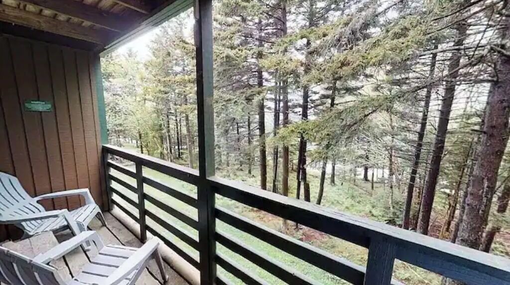 Photo of Outdoor in Snowshoe