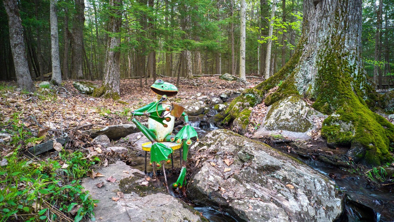 Photo of Outdoor in Rock Hill