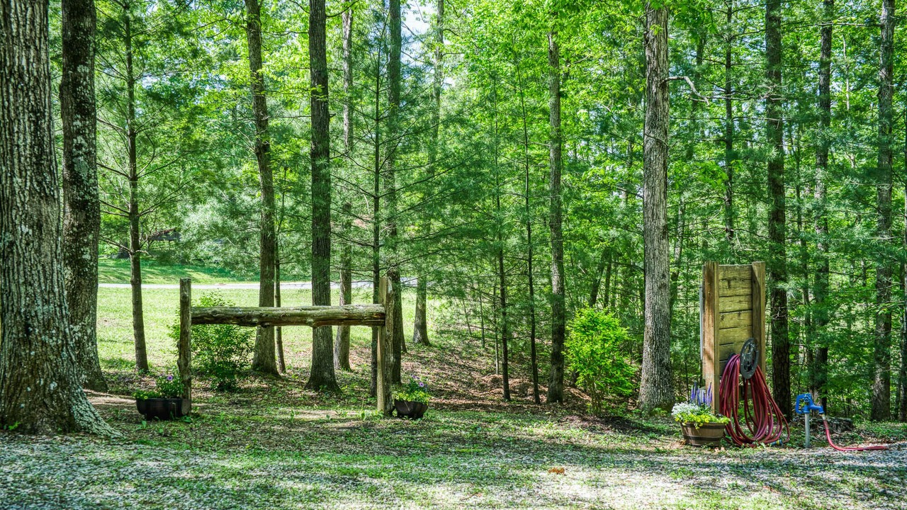 Photo of Others in Jamestown