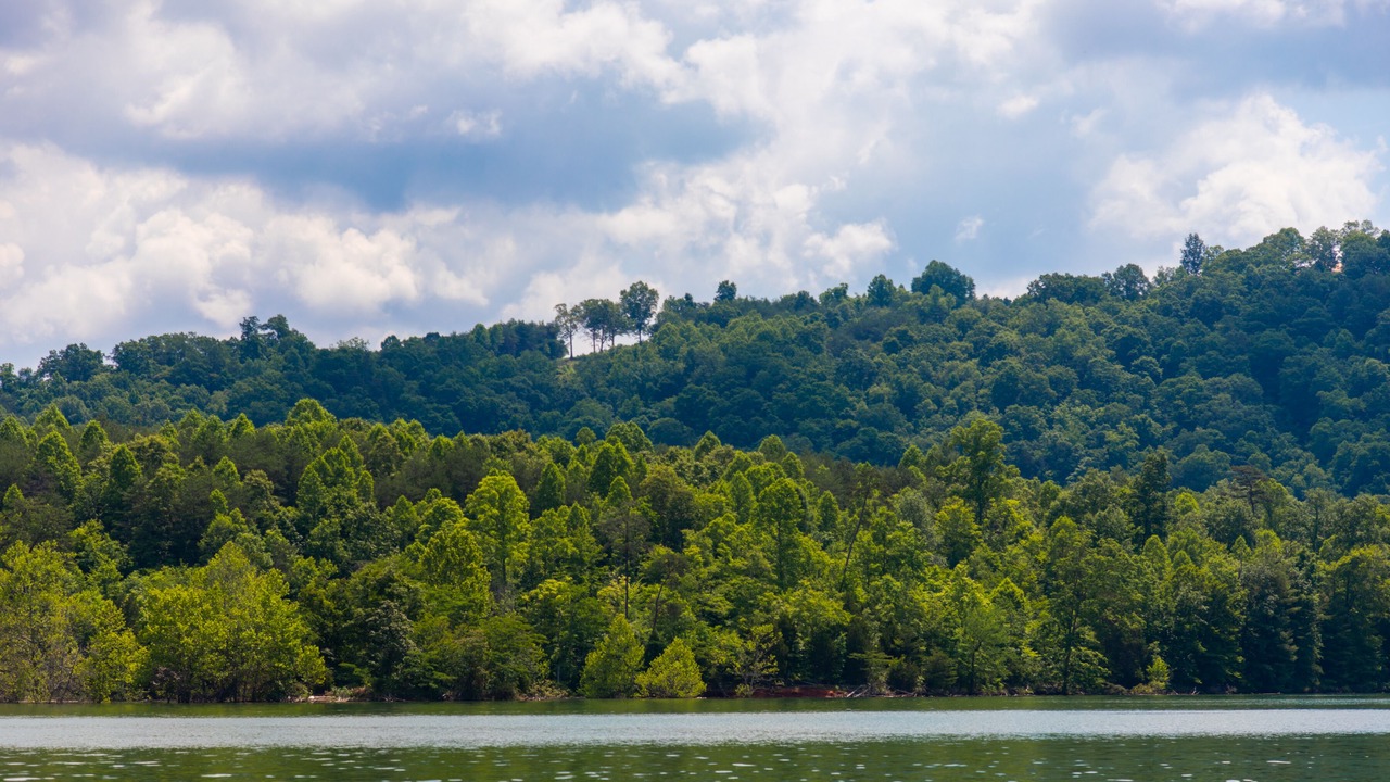 Photo of Others in Big Creek