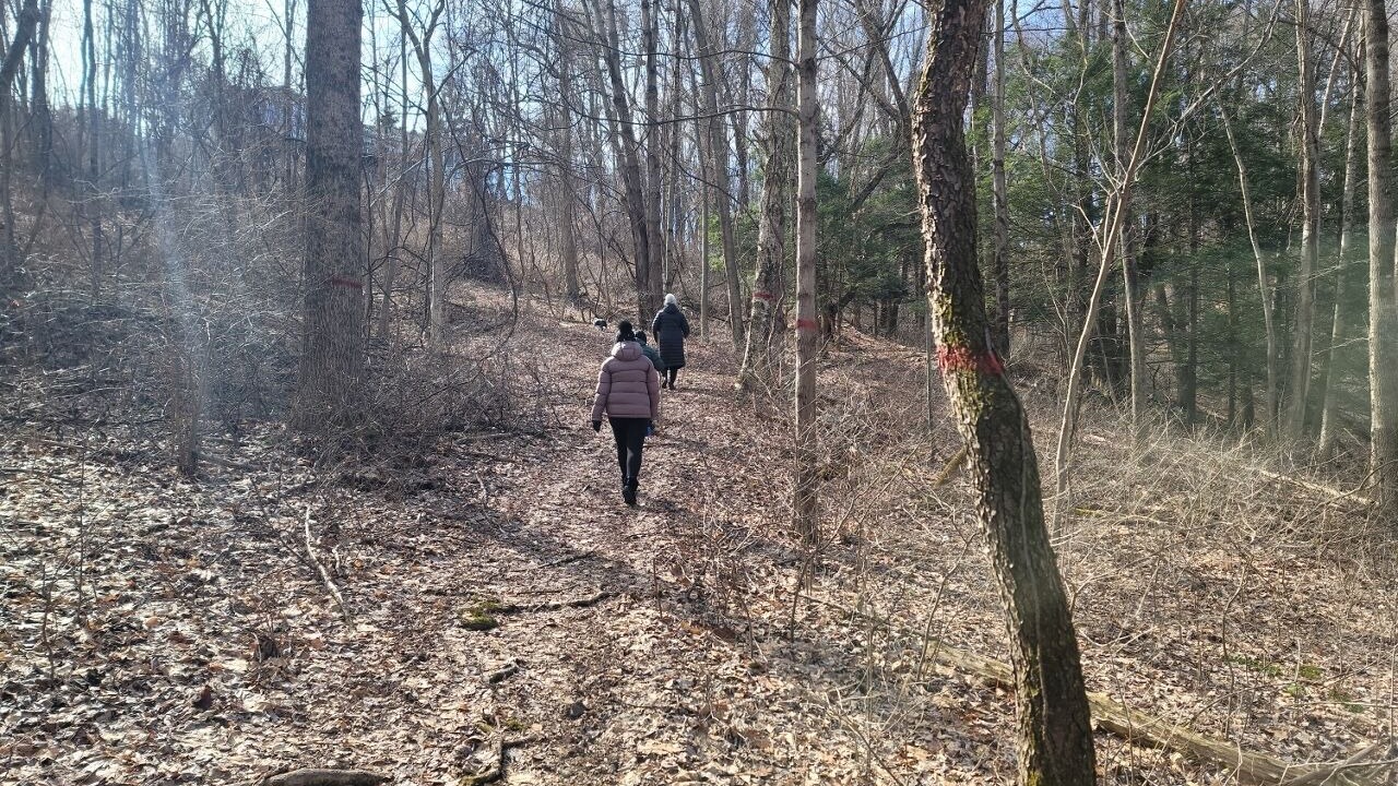 Photo of Others in Sciota