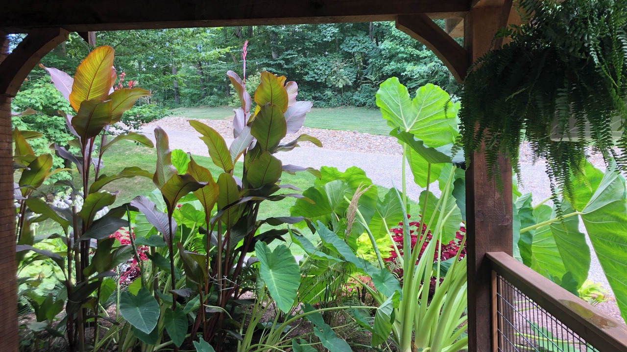 Photo of Outdoor in Stone Creek