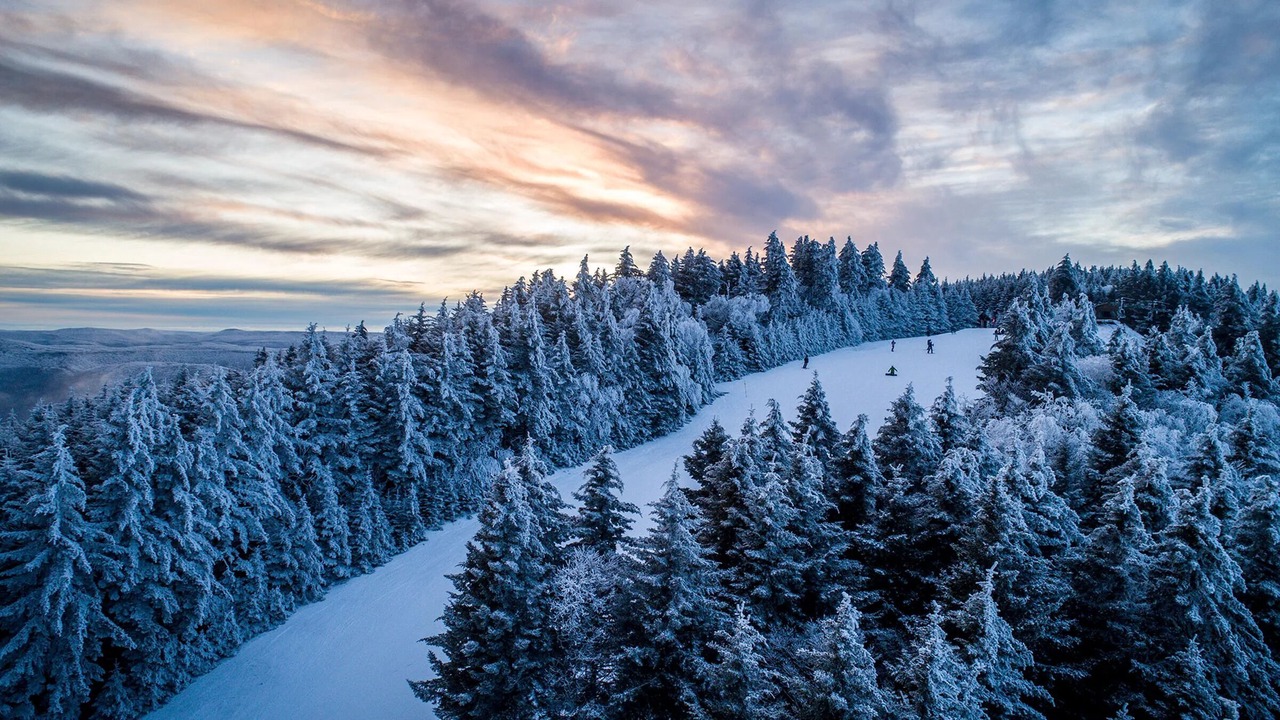 Photo of Others in Snowshoe