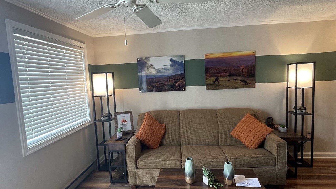 Photo of Livingroom in Snowshoe
