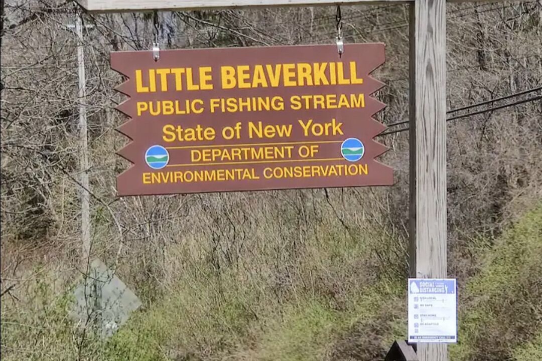 Photo of Outdoor in Parksville
