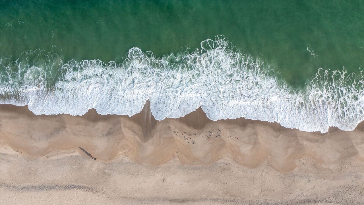 Photo of Others in Point Pleasant Beach