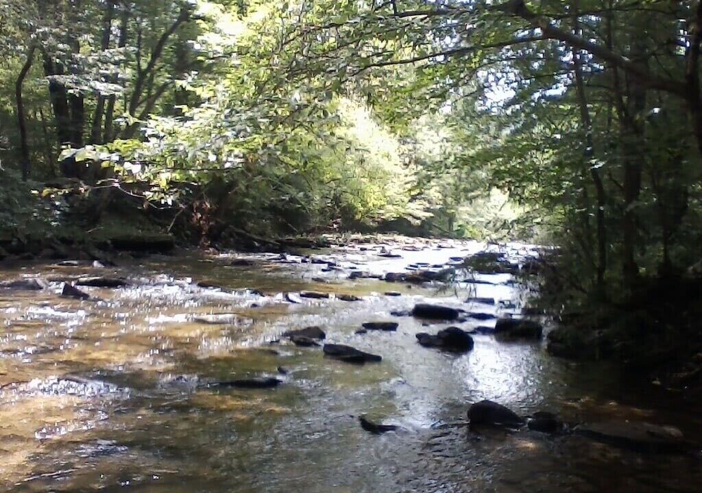 Photo of Outdoor in Revelo
