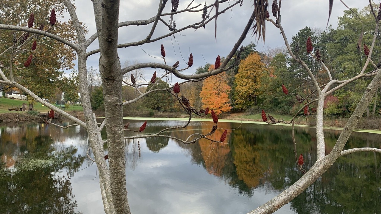 Photo of Outdoor in Mount Vernon