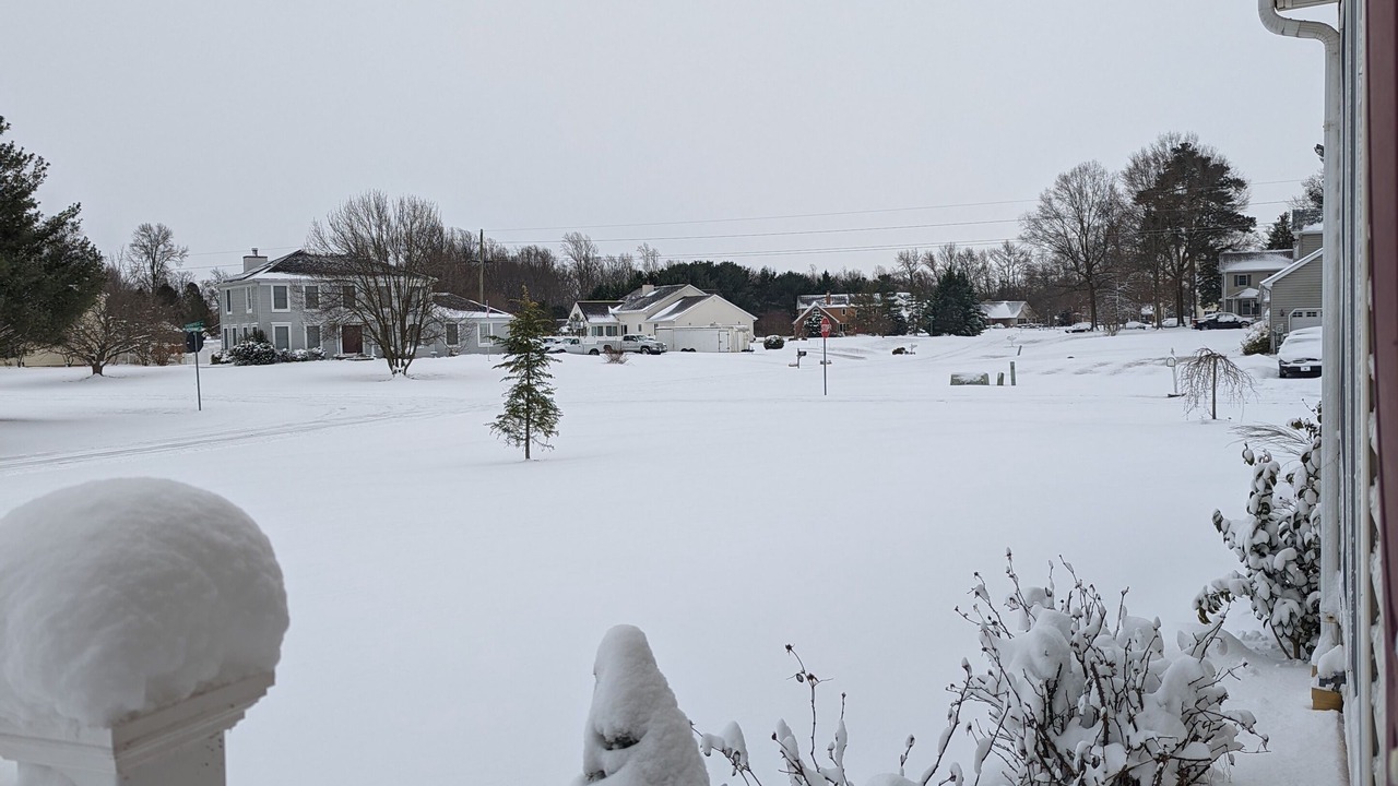 Photo of Outdoor in Dover