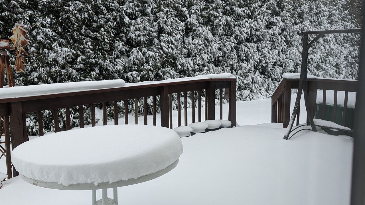 Photo of Outdoor in Dover
