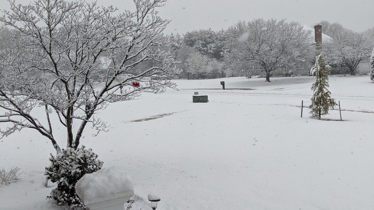 Photo of Outdoor in Dover
