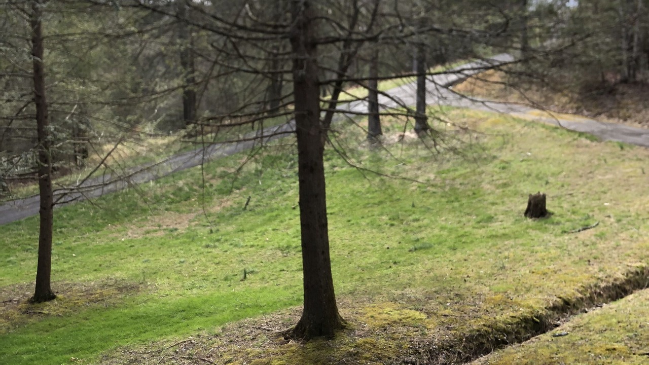 Photo of Outdoor in Oneida