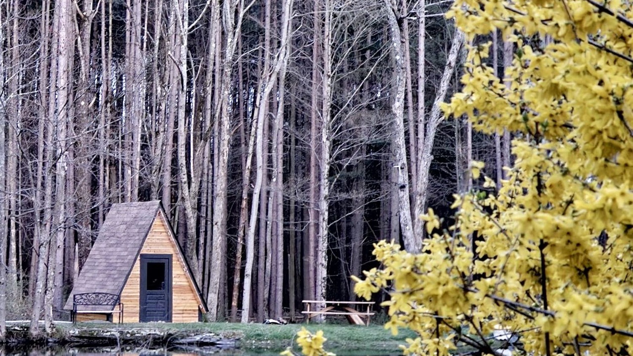 Photo of Outdoor in Newfoundland