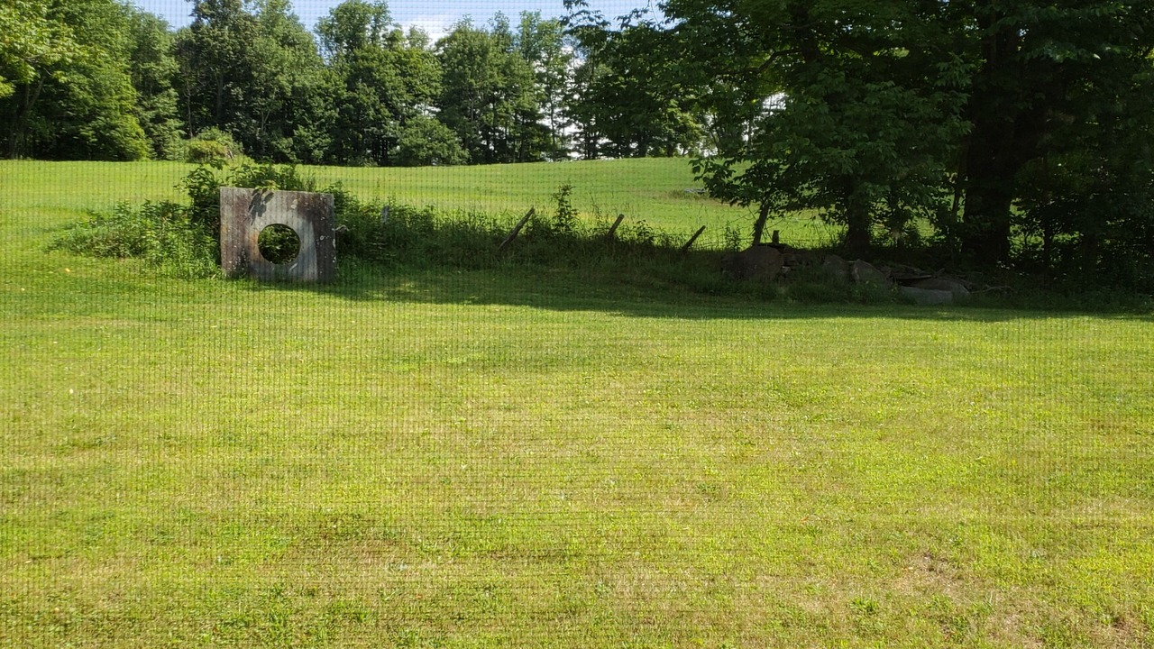 Photo of Outdoor in Lakewood