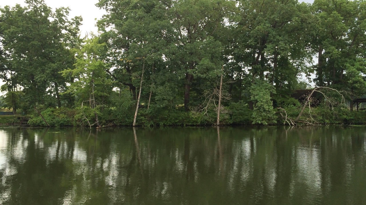 Photo of Outdoor in New Franklin