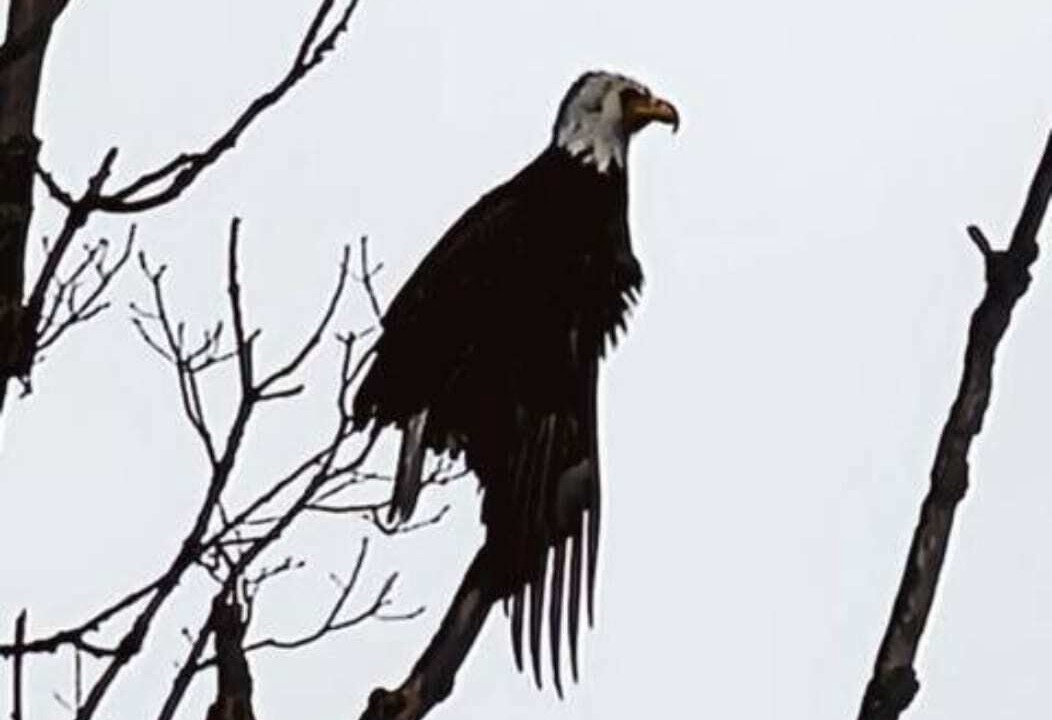 Photo of Others in Downingtown