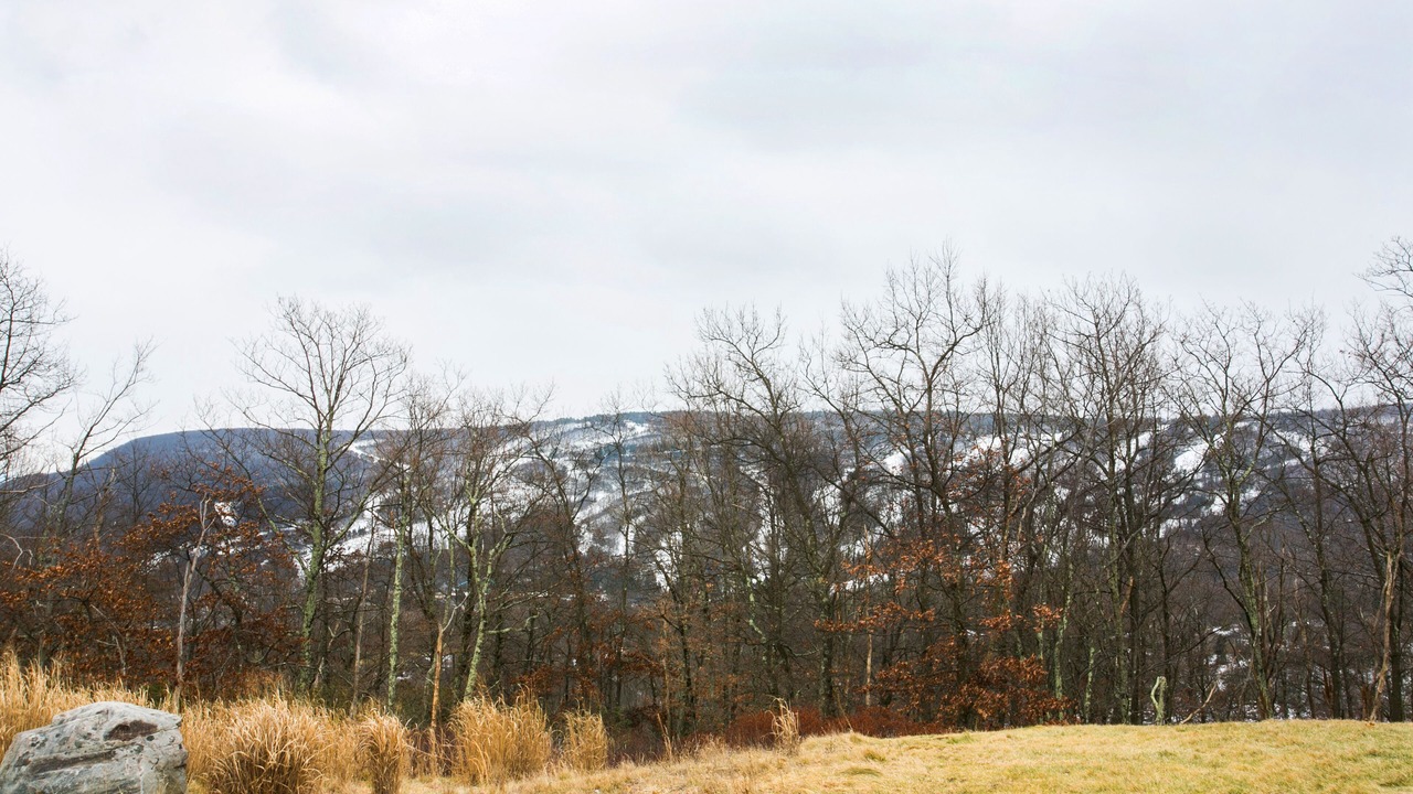 Photo of Others in Tannersville