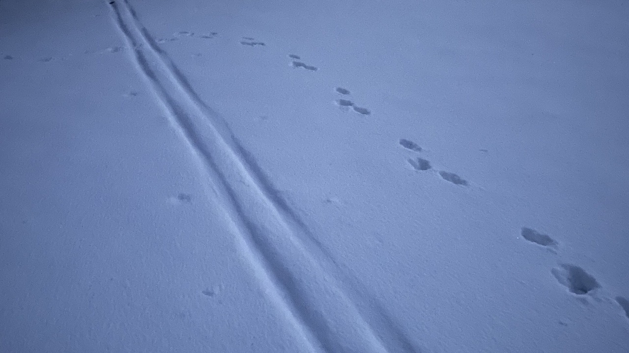 Photo of Others in Claysburg
