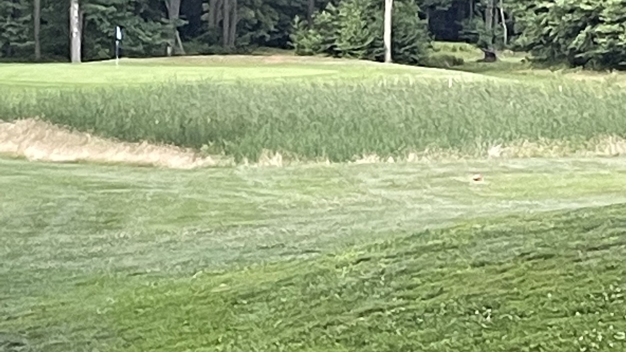 Photo of Others in Claysburg