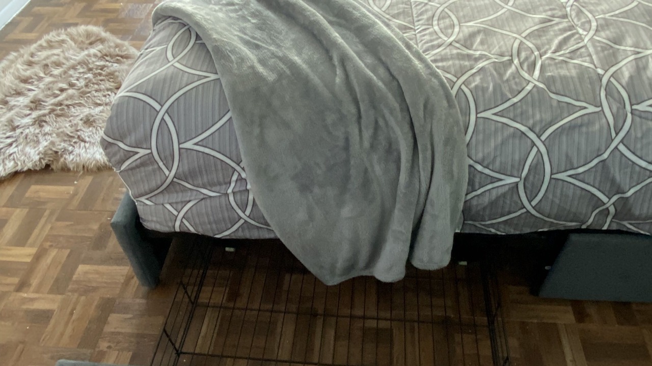 Photo of Bedroom in Hamilton Hills