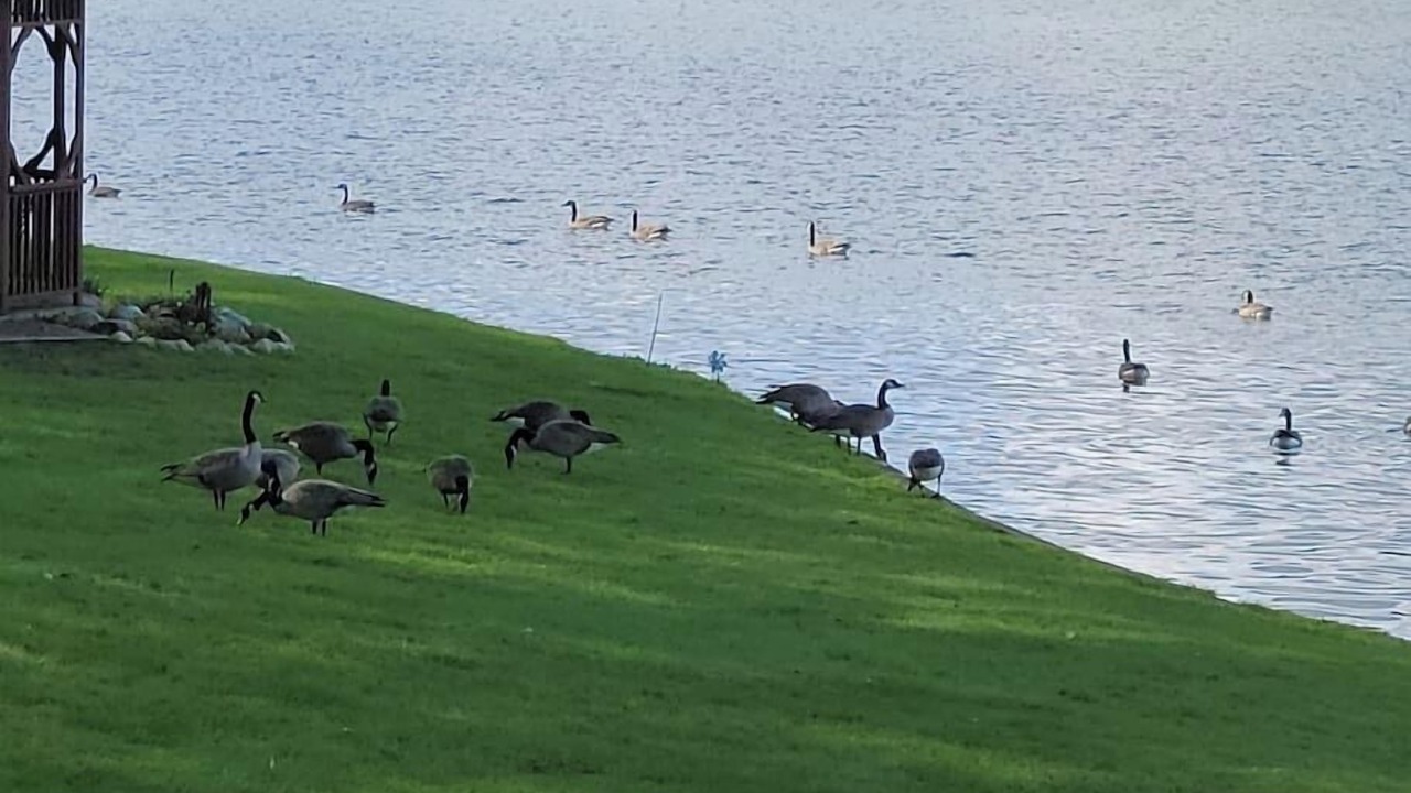 Photo of Outdoor in Paw Paw
